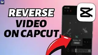 How to Reverse a Video in CapCut?