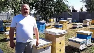 Точек Карника. Расширение на главный взяток