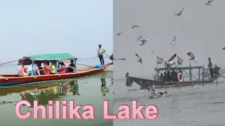 🗺️ CHILIKA LAKE IN ODISHA