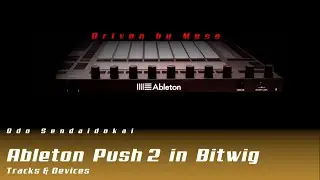 Ableton Push 2 in Bitwig with Driven By Moss Tracks & Devices (German)