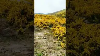 29/03/2021 Part 71 FreePhotos / Montaña / Montanha / Montain / Montagne (Music: ‎‎‎