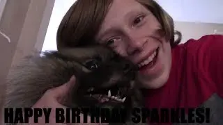 Happy (Late) Birthday Sparkles