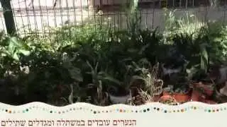 מיזם תיירותי בית הצייר- משתלה