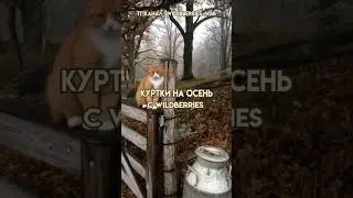 Куртки на осень с Wildberries 🍂 