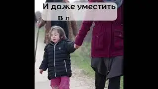 О самом важном
