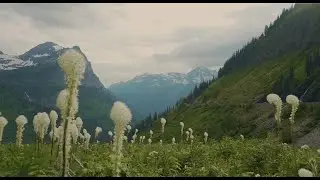 Montana - Native Lands