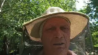 А что у нас в магазинных надставках и корпусах ???........