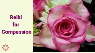 Reiki for Compassion 💮