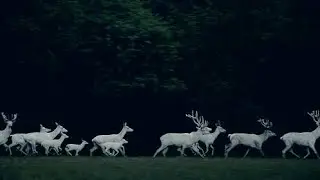 ЗАЩИТА РОДНОЙ ЗЕМЛИ.ДЛЯ ВСЕХ.
