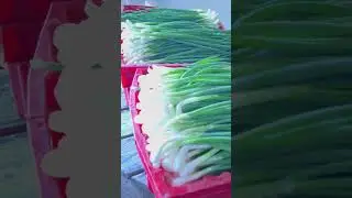 Конец мая.