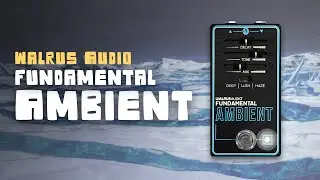 Walrus Audio | Fundamental Ambient Demo