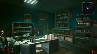 Cyberpunk 2077_Black Screen Entity