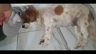VID 20240223 WA0002