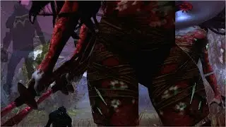 some killer highlights