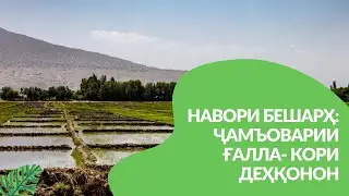 НАВОРИ БЕШАРҲ:  ҶАМЪОВАРИИ ҒАЛЛА- КОРИ ДЕҲҚОНОН