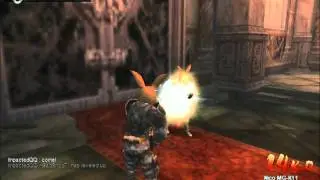 ImpactedQQ Level 49
