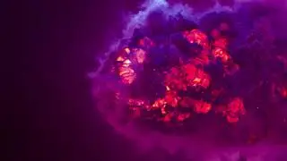 Fire Blast Logo Intro
