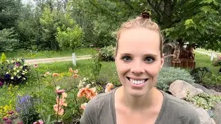 My Watering & Fertilizing System For A Heat Wave! | Simply Bloom