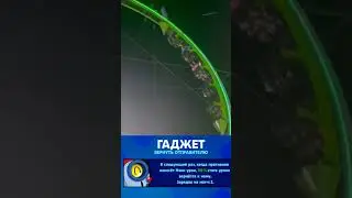 Возвращаем старые тренды