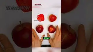 Сможешь Найти Рисунок?!🤯 📹myart1979 