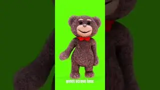 green screen bear 