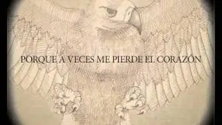 Amaral - Montaña Rusa