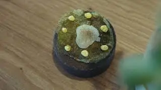 Chef's Kitchen | Juan Jose Losada