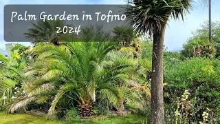 Tofino, Canada 2024 - Palm Tree Garden with Exotic Plants. Mildest Climate in British Columbia.