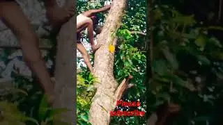 BAHUBALI SONGS koun haiokoun hai#myfirstvlog#viral #shorts