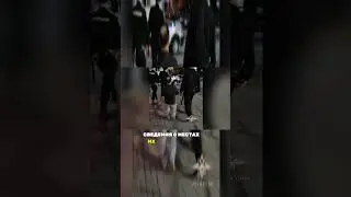 Задержали организаторов незаконной миграции #новосибирск #мигрантывроссии #новости #россия #shots