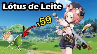 Rota de farm Lótus de leite - Genshin Impact - [ Calla Lily ]