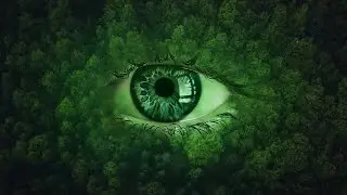 Photo manipulation | Photoshop editing | Forest Eye