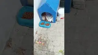 #iyilikdokunușu