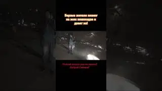 Борзые жители плюют на всех пешеходов и давят их! 