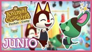 A CASARSE EN ANIMAL CROSSING POCKET  CAMP #NINTENDO #ACPC #ANIMALCROSSING