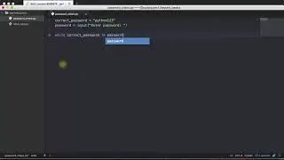 While loop in Python using an example