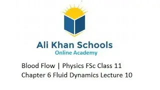 Blood Flow | Physics FSc Class 11 Chapter 6 Fluid Dynamics Lecture 10