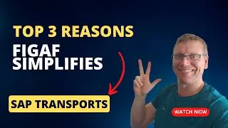 Figaf 3 top transports