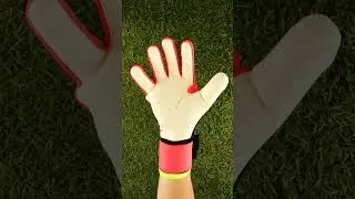 Glove opening: adidas Predator Competition Energy Citrus #keepersport #goalkeeper #adidasgloves