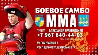 Барс-