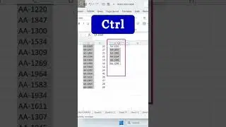 Compare Two Excel Sheets and Highlight Duplicates in Excel 