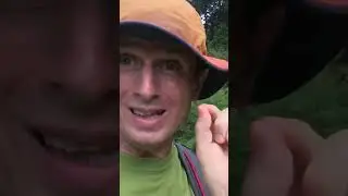 🌸 Excitement in Japan: A Moment of Discovery - softypapa shorts 🇯🇵🎉