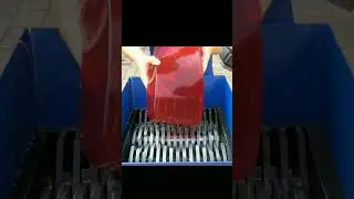 Jelly Vs Shredder machine #shorts