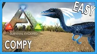 How To Tame A Compy In Ark Survival Evolved