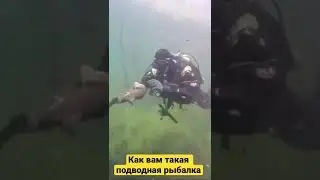 Как вам такая подводная рыбалка
