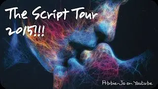 The Script 2015 Tour - No Sound without Silence