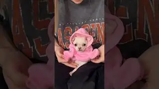 Новая кофта у Мани😂