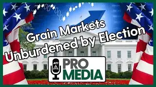 Grain Markets Unburdened by Election