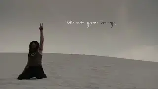 thank you tony stark.