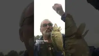 KILLER FISH 007 !!! TAGANKA 2023 !!! #fishing #commoncarp #carpworld #everythingcarpfishing #carpfis